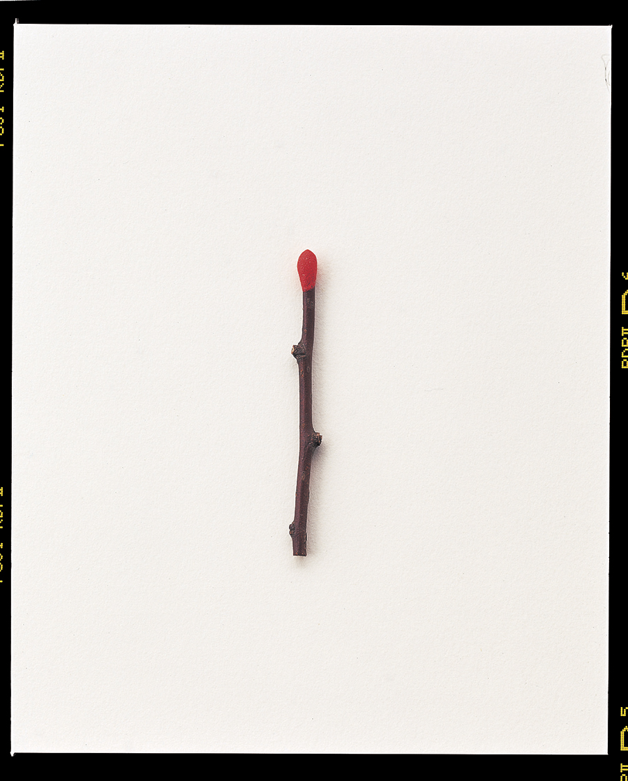 notion image