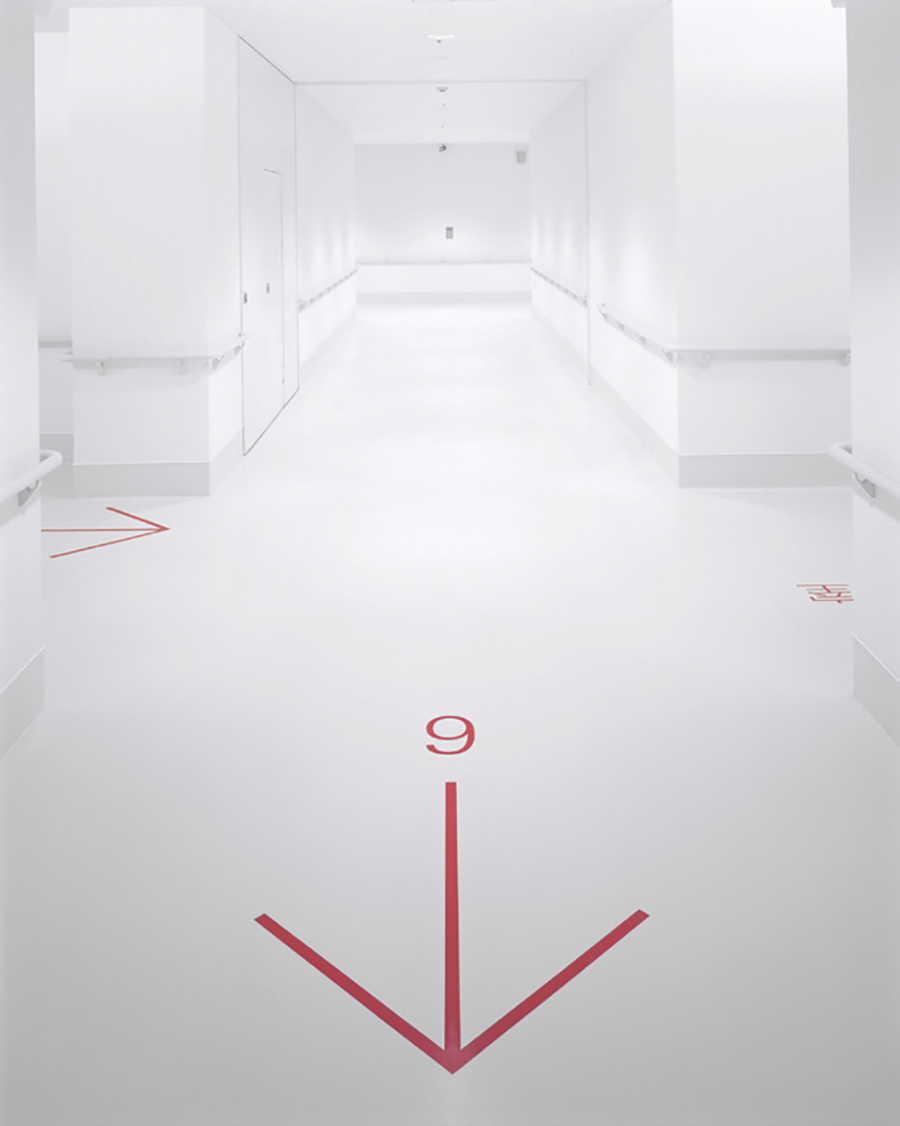 notion image